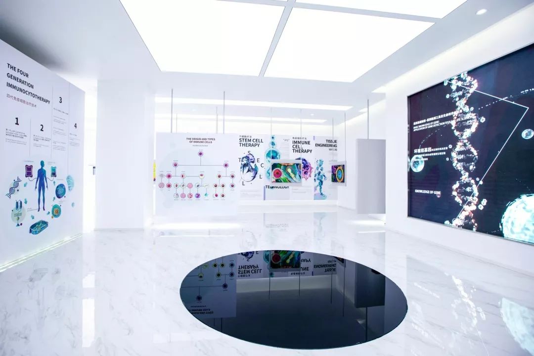 干細(xì)胞展廳設(shè)計(jì)—思威圖數(shù)字干細(xì)胞科普展館的布局和設(shè)計(jì)需要非常細(xì)致